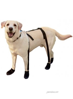 Canine Footwear Suspenders Snuggy Boots for Dog Medium Black