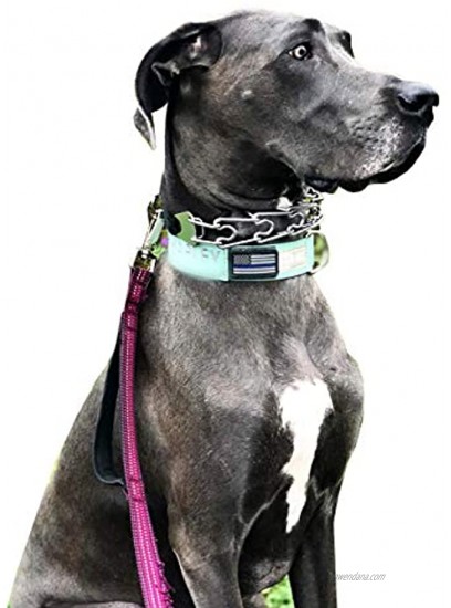 Relux Stainless Steel Choke Pinch Dog Collar,Adjustable Dog Prong Training Collar with Comfort Tips