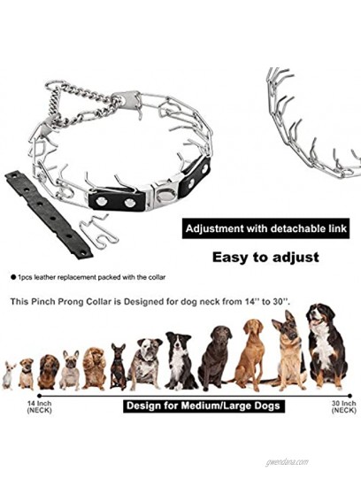 W W Lifetime Prong Collar with Buckle Quick Release Adjustable from 15in to 30in Chrome Stainless Steel Anti Pull Pinch Dog Chain with Dog ID Tag for Medium Large Dog Behavior Training