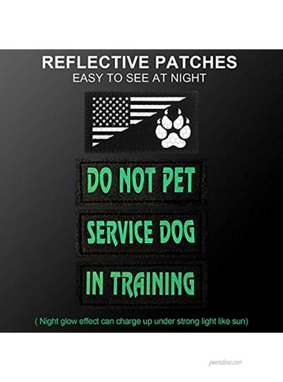 8 Pieces Reflective Dog Vest Patches Removable Tactical Patches for Dog Harness Service Dog in Training and Dog Halter Patches with Printed Dog Paw