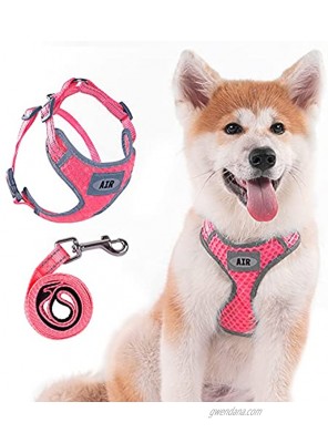 AIR Dog Harness Leash Set Puppy Leash Harness No-Choke Dog Harness Mesh Dog Harness Comfortable Dog Harness Plus 4 ft Reflective Dog Leash with Padded Handle Small Rose