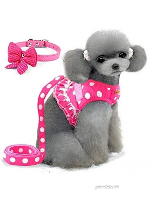 Cute Small Dog Harness Ladies Polka Dots Dog Vest Harness Set with Pink Leash and Bowknot Collar 3 in 1 Girl Style Vest Harness Set for Puppy and Cat