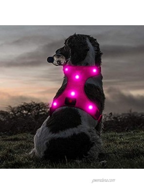Ezier Glowing LED Dog Harness- USB Rechargeable No Pull Pet Harness Adjustable Soft Padded Dog Vest Mesh Reflective Suit for Small Medium Large Dogs