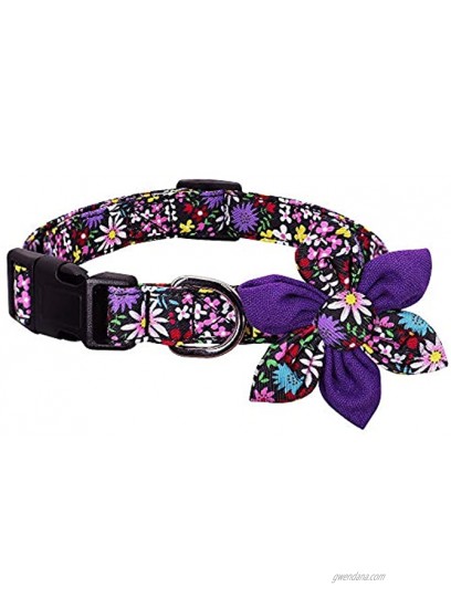 Forestpaw Multi-Colored Dog Harness and Leash Set,No Pull Adjustable Reflective Step in Vest Harness and Collar for Small,Medium,Purple,S