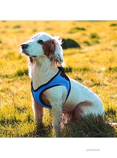KORIMEFA Pet Supplies Soft Dog Harness Innovative Mesh No Pull No Choke Design Breathable Vest with Leash Easy Control Quick-Release Buckle for Puppies Small Medium Dogs Blue S