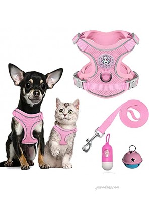 Lomonie Puppy Harness,Harness for Small Dogs,Breathable Air Mesh Harness and Leash Set for Walking Escape Proof Adjustable Reflective Strip Pet Cat Vest for Small Medium Puppy and Kittens