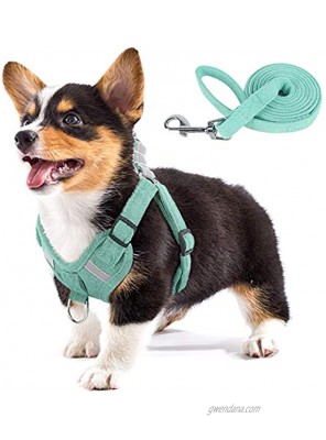 PAWDAY Puppy Harness Soft Breathable Suede Fabric No Pull Vest Harness for Puppies Reflective and Adjustable Dog Harness & Leash Set for Medium and Small Dog Mint Green XXS