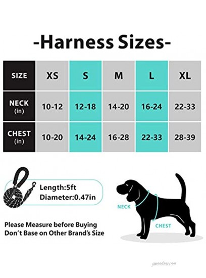 PoyPet Dog Harness and Leash Combo, Escape Proof No Pull Vest Harness Reflective Adjustable Soft Padded Pet Harness with Handle for Small Medium Large DogsPink,M