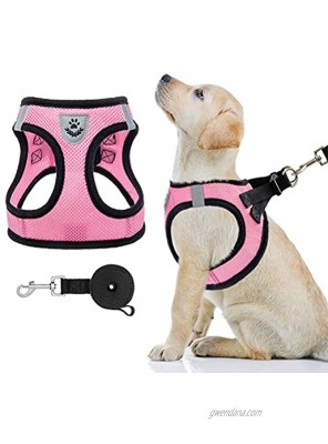 Puppy Harness and Leash Set Soft Mesh Dog Vest Harness Reflective & Adjustable Harness for Small to Medium Dogs Cats and Puppies