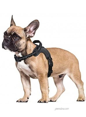 rabbitgoo Dog Harness Adjustable Dog Walking Harness with Handle and Shock-Absorbing Bungee Straps Reflective Dog Vest Harness No Choke Halter Harness with Padded Strap for Large Dogs Black,L