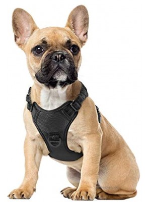 rabbitgoo Dog Harness No Pull Dog Vest Harness with Shock-Absorbing Bungee Straps Adjustable Dog Walking Harness with Easy Control Handle Reflective Pet Vest Harness for Large Medium Size Dogs