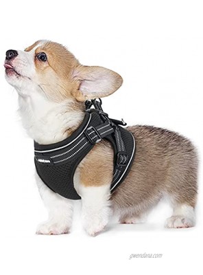 rabbitgoo Small Dog Harness Step-in Soft Mesh Dog Harness with 4 Adjustable Straps No Pull Dog Vest Harness with Double Clips & Reflective Strips Escape Proof