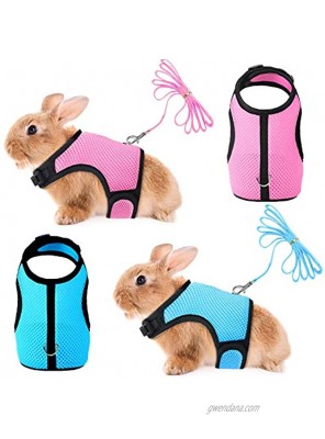 SATINIOR 2 Pieces Bunny Rabbit Harness with Leash Cute Adjustable Buckle Breathable Mesh Vest for Kitten Puppy Small Pets Walking