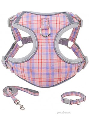 Soft Mesh Plaid Puppy Harness Small Dog Harness and Leash Set Adjustable & Comfortable Padded Reflective Vest No Choke for Puppies and Small Medium Breeds Dogs