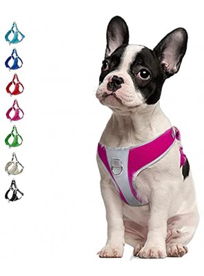 TwoEar Dog Harness Reflective Adjustable Basic Nylon Step in Puppy Vest Harness Outdoor Walking for X-Small Small and Medium Dogs Breed Pet