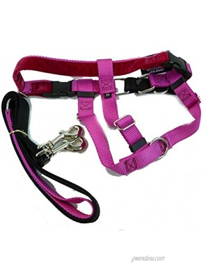 2 Hounds Design Freedom No-Pull Dog Harness and Leash Adjustable Comfortable Control for Dog Walking Made in USA XSmall 5 8 Raspberry