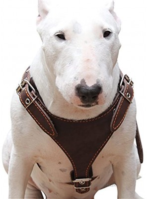 Brown Genuine Leather Dog Harness Medium. 25"-30" Chest 1" Wide Adjustable Straps