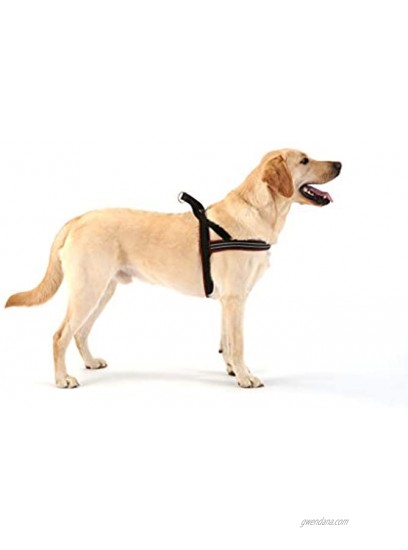 ComfortFlex American Made Fully Padded Non-Chafing Reflective Quick Fit Adjustable Sport Harness for Active Dogs
