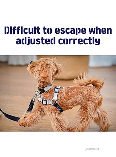 FITPET Dog Harness No Pull Dog Harness Training Harness for Dog Perfect for Training Easy Walk Dog Harness S-XL Sizes