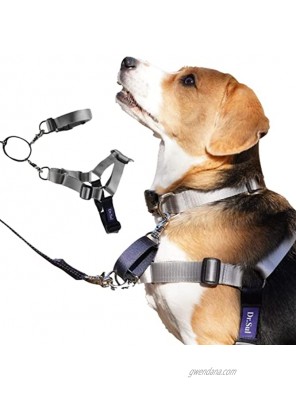 FITPET Dog Harness No Pull Dog Harness Training Harness for Dog Perfect for Training Easy Walk Dog Harness S-XL Sizes