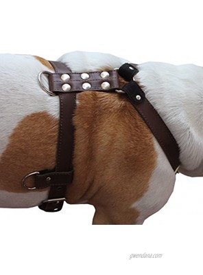 Genuine Leather Dog Harness Medium to Large 25-32 Chest 1 Wide Adjustable Straps
