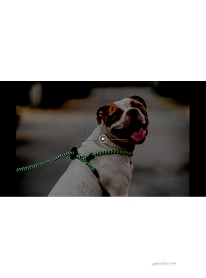 Harness Lead Escape Resistant Leash Reduces Pull Dog Harness