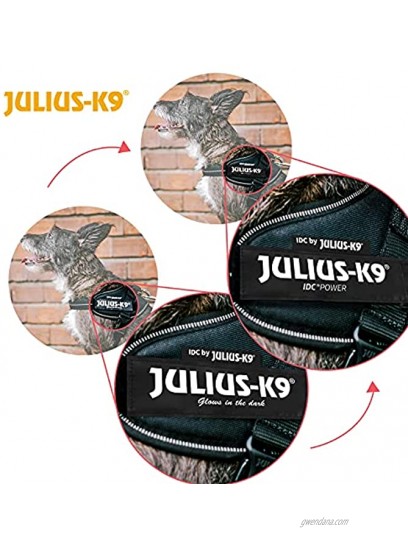 Julius-K9 16IDC-DPN-M IDC Powerharness dog harness Size: Mini Dark Pink
