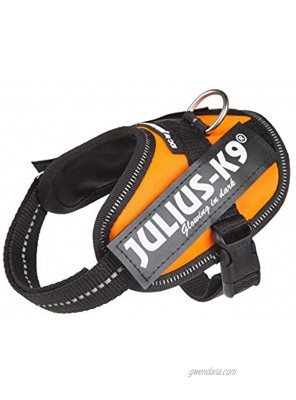 Julius-K9 16IDC-FOR-B2 IDC Powerharness dog harness Size: Baby 2 UV Orange