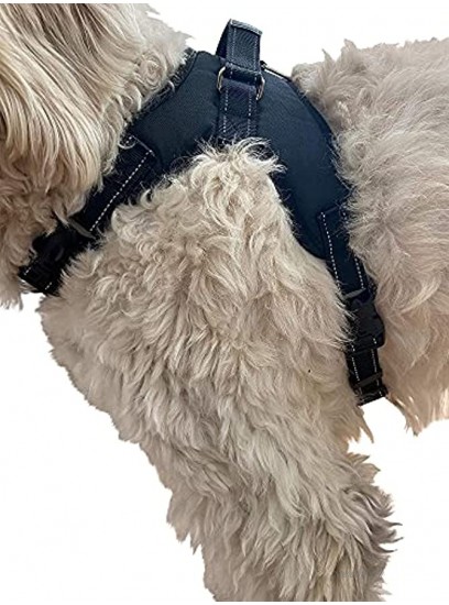 Labra Dog Canine K9 Chest Halter Harness for use Canine Knee Brace