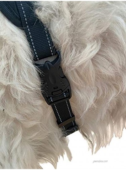 Labra Dog Canine K9 Chest Halter Harness for use Canine Knee Brace
