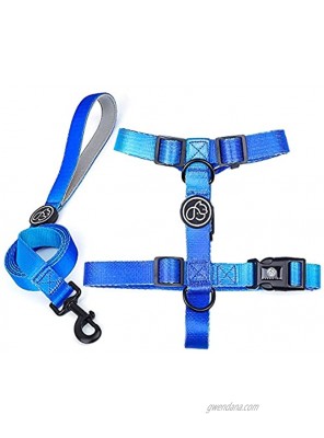 LFCXHTY Gradient Color Pet Harness and Leash Set,Adjustable Lightweight Pet Products,Fashionable Comfortable no Pull Rope Set for Small&Medium Dog