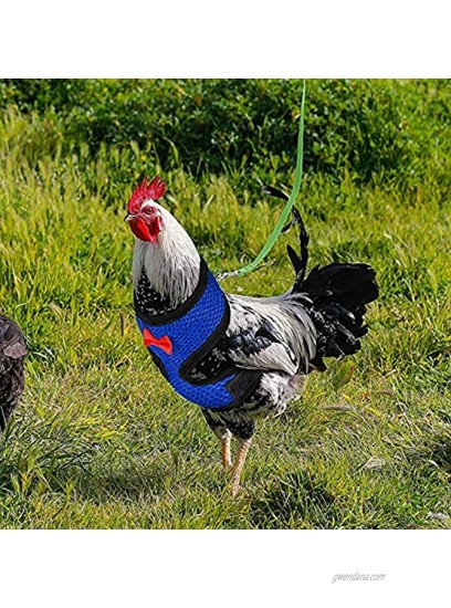 Ranslen 6 Pcs Adjustable Chicken Harness with Leash,Breathable and Comfortable Hen Pet Vest with Mesh,Small Size Duck Goose Rooster Training Walking Harness with 3.6 Feet Matching Belt Colorful