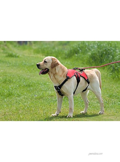 Voyager Padded & Breathable Control Dog Walking Harness for Big Active Dogs
