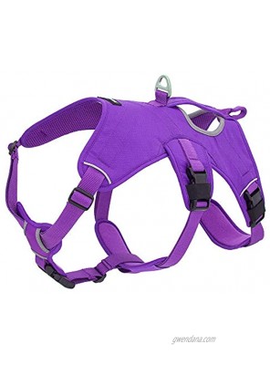 Voyager Padded & Breathable Control Dog Walking Harness for Big Active Dogs