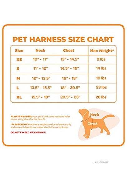 Voyager Step-In Plush Dog Harness Soft Plush Step in Vest Harness for Small and Medium Dogs by Best Pet Supplies