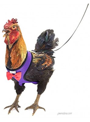 Yesito Chicken Harness Hen Size with 6ft Matching Leash – Adjustable Resilient Comfortable Breathable Small Suitable for Chicken Weighing About 2.2 Pound,red