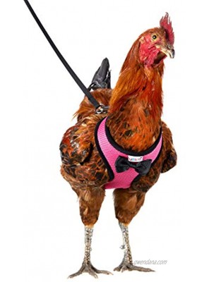 Yesito Chicken Harness Hen Size with 6ft Matching Leash – Adjustable Resilient Comfortable Breathable Large Size Suitable for Chicken Weighing About 6.6 Pound ,Pink